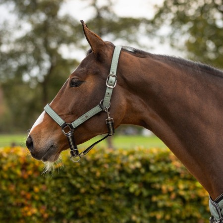 Morralla Quadra QHP + Ramal Lineair Motion 2