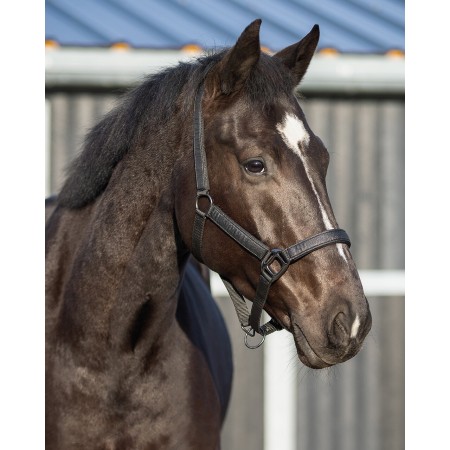 Morralla Quadra QHP Glitter Negra