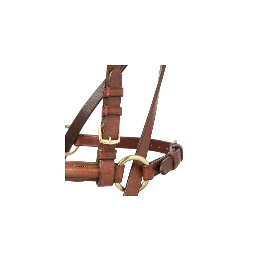 Brida Montar Cuero Doma Natural Havana | Equestrian. Calvet Animals i