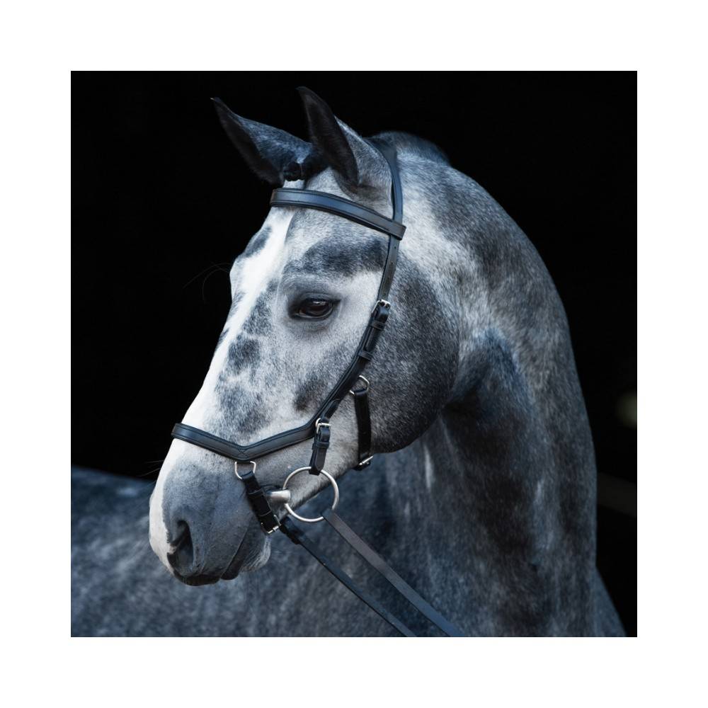 Brida Montar Inglesa Rambo Competition Negra | Equestrian. Calvet Animals
