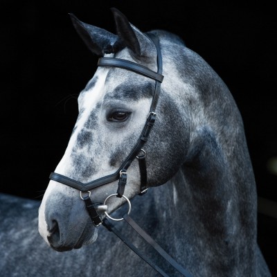 Brida Montar Inglesa Rambo Competition Negra | Equestrian. Calvet Animals