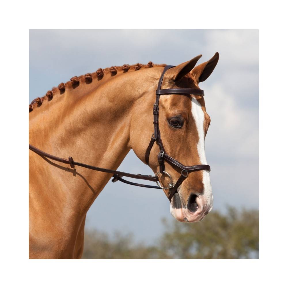 Brida Montar Inglesa Rambo Competition Marrón | Equestrian. Calvet Animals