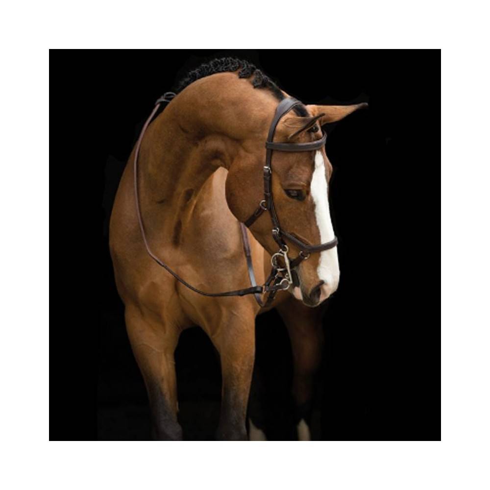 Morralla Muntar Anglesa Rambo Competition Marró |Cavall i Genet a