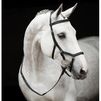 Brida Montar Inglesa Rambo Competition Negra | Equestrian. Calvet Animals
