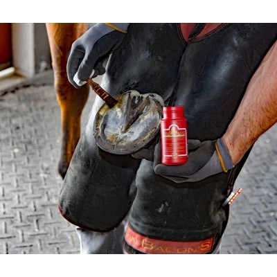 Higienizador Ranilla Kevin Bacon's 150 Gr | Equestrian. Calvet Animals i