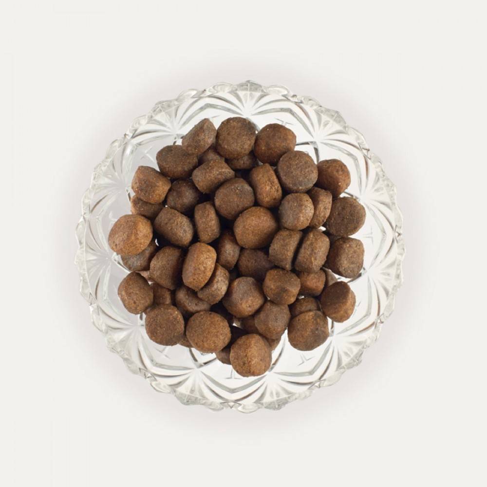 Retorn Adulto Light&Senior Salmón para perros | Calvet Animales y Plantas