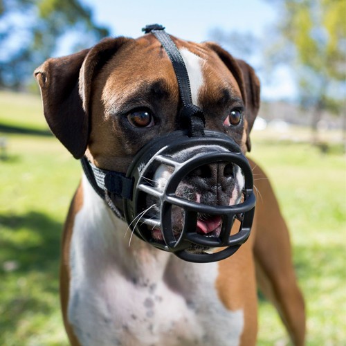 Bozal Baskerville Negro para perros | Calvet Animales y Plantas 2