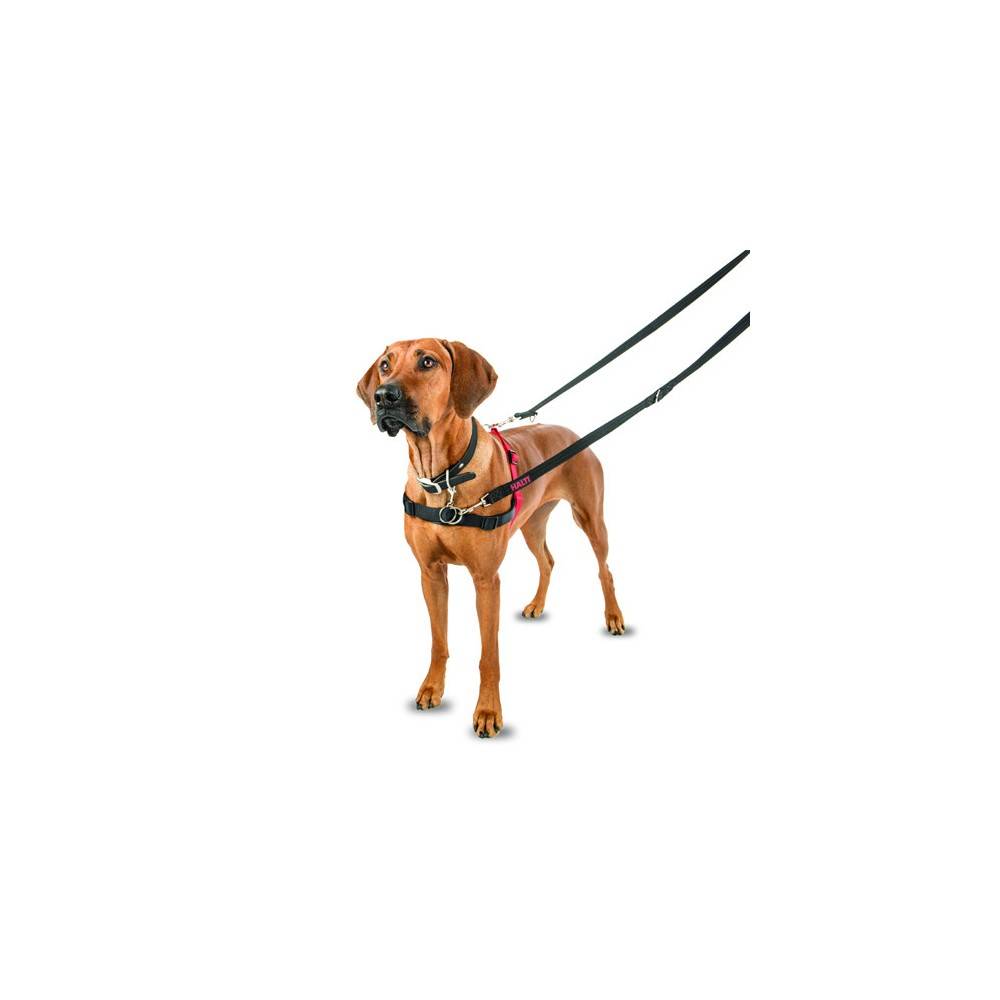 Arnés Halti para perros | Calvet Animales y Plantas