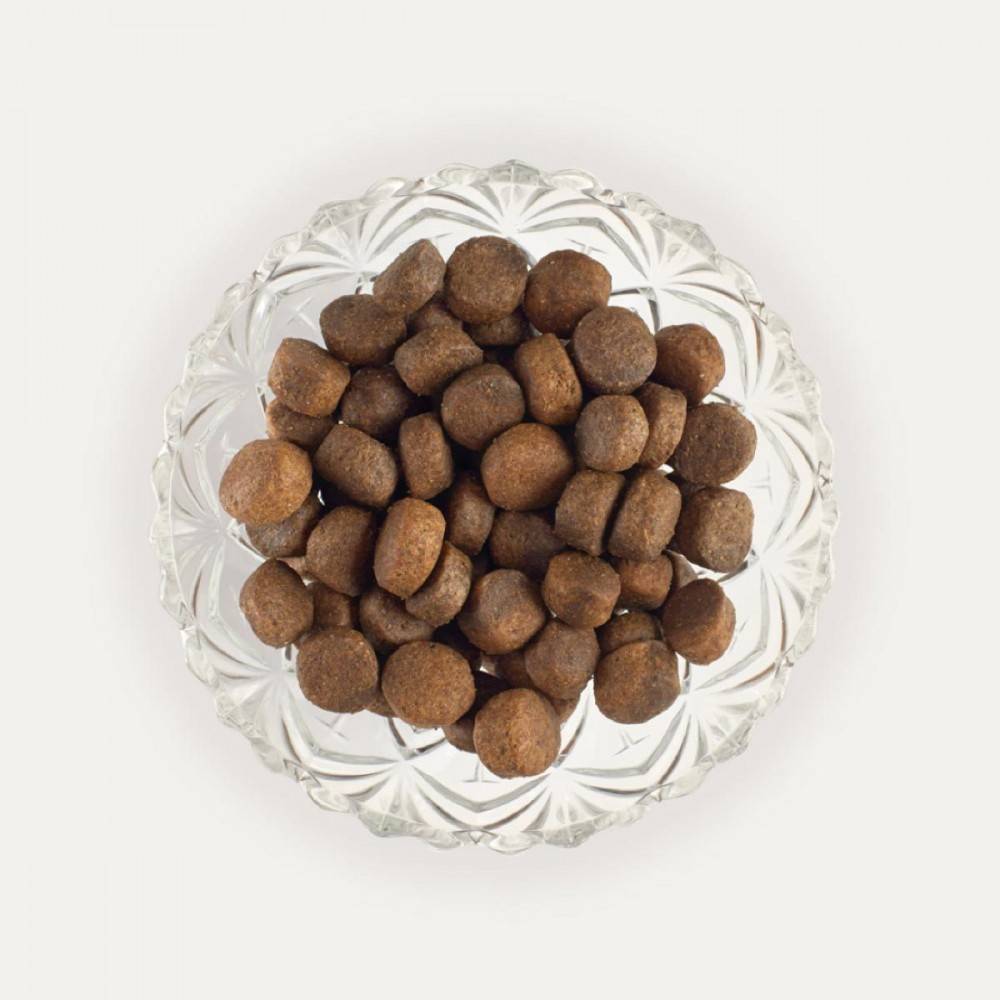 Retorn Adulto Salmón para perros | Calvet Animales y Plantas