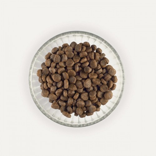 Retorn Puppy Salmón para perros | Calvet Animales y Plantas 2