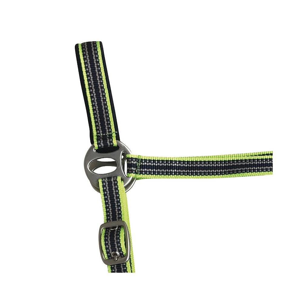 Cabezada Cuadra Nylon Con Ramal Verde Neón | Equestrian. Calvet Animals i