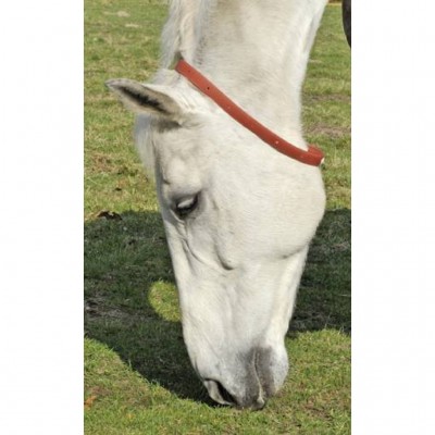 Collar Antiparasitari Cavall HKM |Cavall i Genet a Equestrian, Calvet