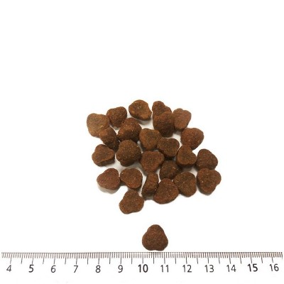 Wild Side African Sunset per gossos | Calvet Animals i Plantes