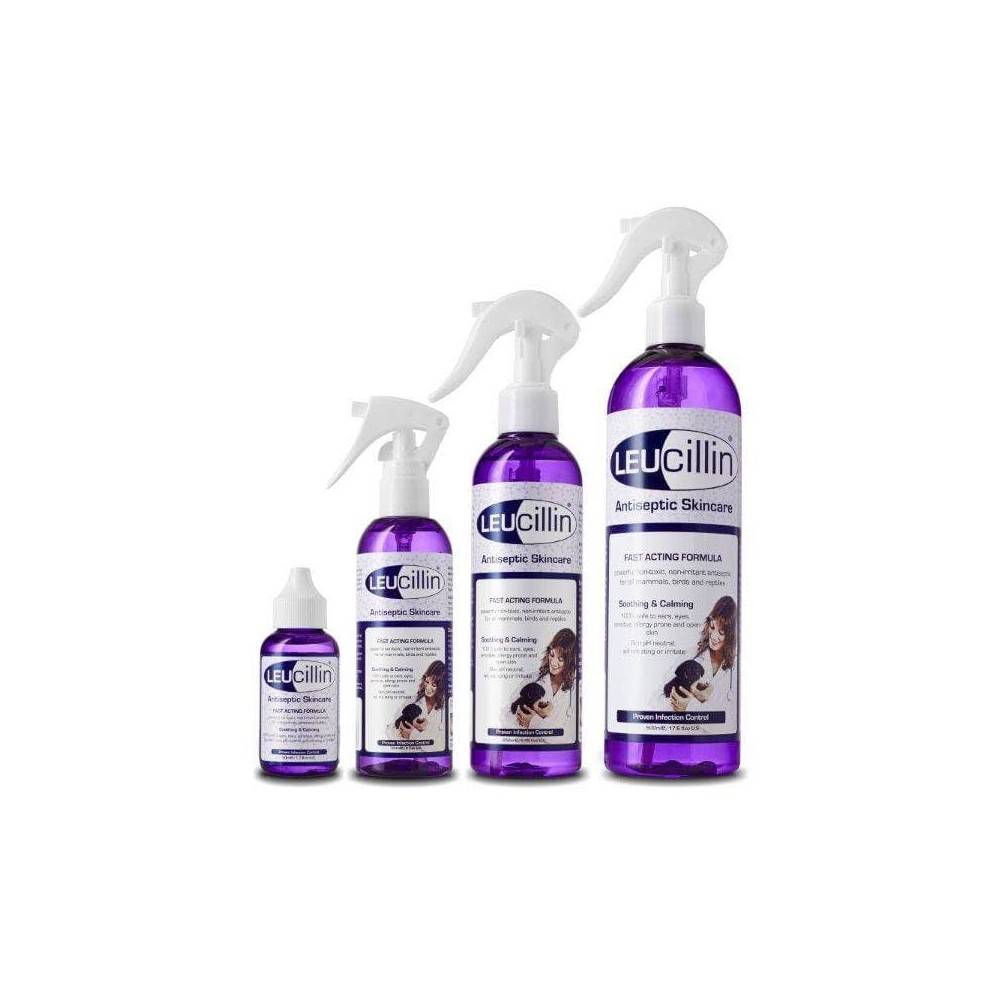 Leucillin |Cavall i Genet a Equestrian, Calvet Animal i Plantes