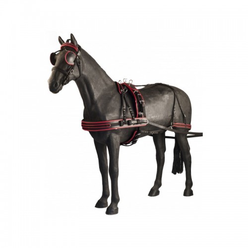 Guarnició Llimonera Nylon iQuus Vermella |Cavall i Genet a Equestrian