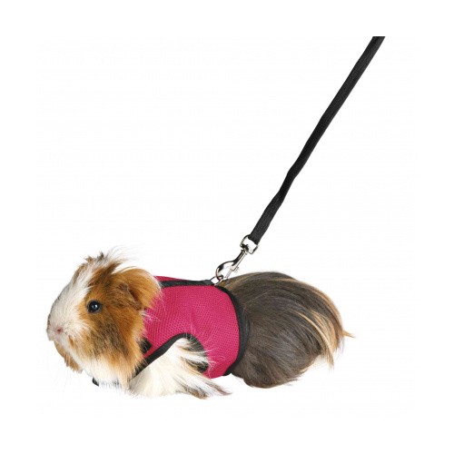 Arnés Con Correa Suave Cobaya | Calvet Animals i Plantes