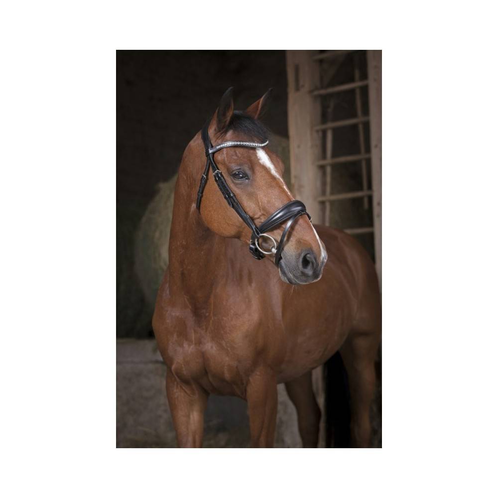 Morralla Muntar Norton Pro Strass Negra |Cavall i Genet a Equestrian