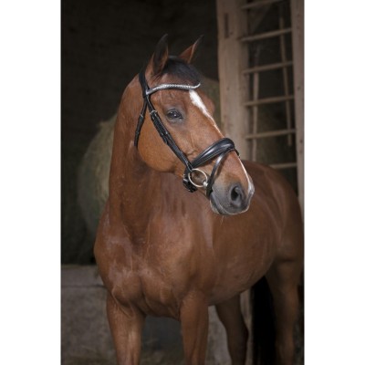 Brida Montar Norton Pro Strass Negra | Equestrian. Calvet Animals i
