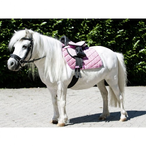 Montura Anglesa HKM Beginner Negra |Cavall i Genet a Equestrian, Calvet 2
