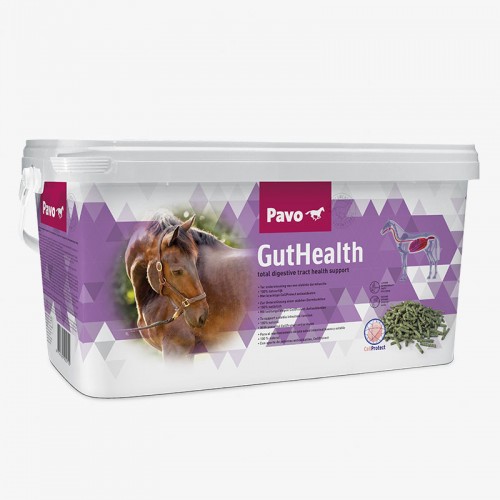 Pavo Guthealth | Equestrian. Calvet Animals i Plantes.