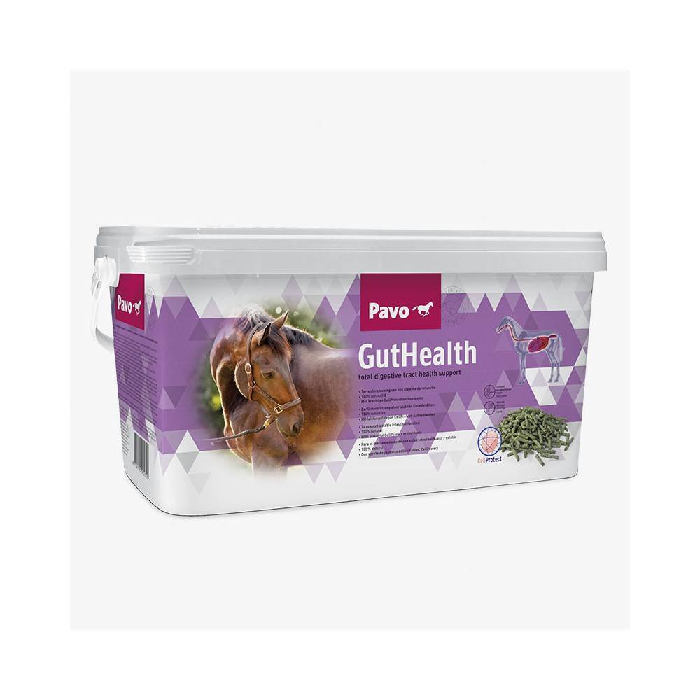 Pavo Guthealth |Cavall i Genet a Equestrian, Calvet Animal i Plantes