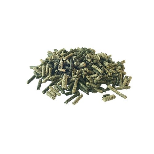 Pavo Guthealth | Equestrian. Calvet Animals i Plantes. 2