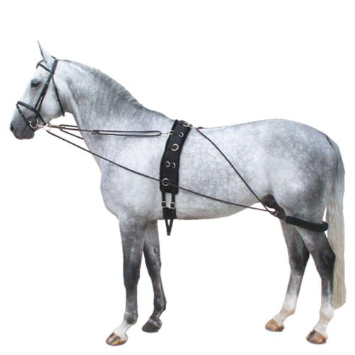 Sistema Entrenament Premiere Pessoa Negre/Burdeos |Cavall i Genet a 2