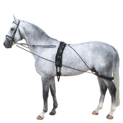 Sistema Entrenamiento Premiere Pessoa Negro/Burdeos | Equestrian. Calvet