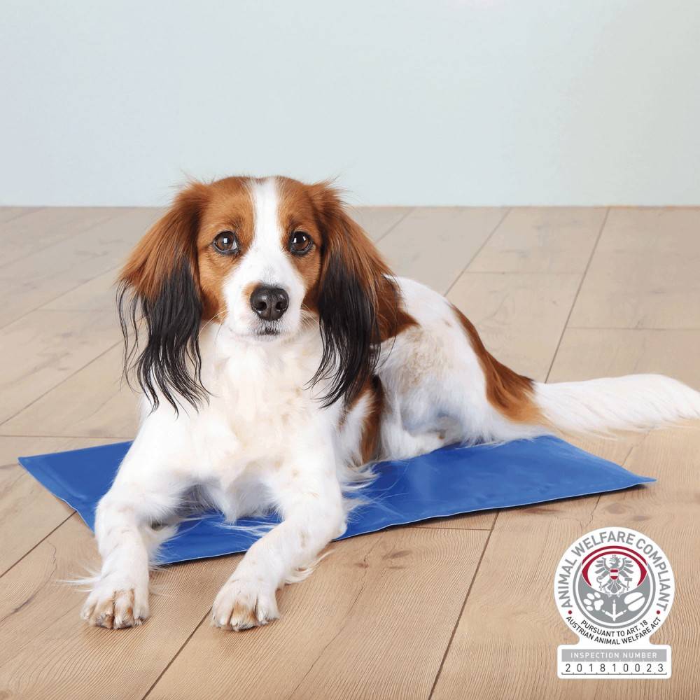 Alfombrilla Refrescante 100x60 Cm Azul para perros | Calvet Animales y Plantas