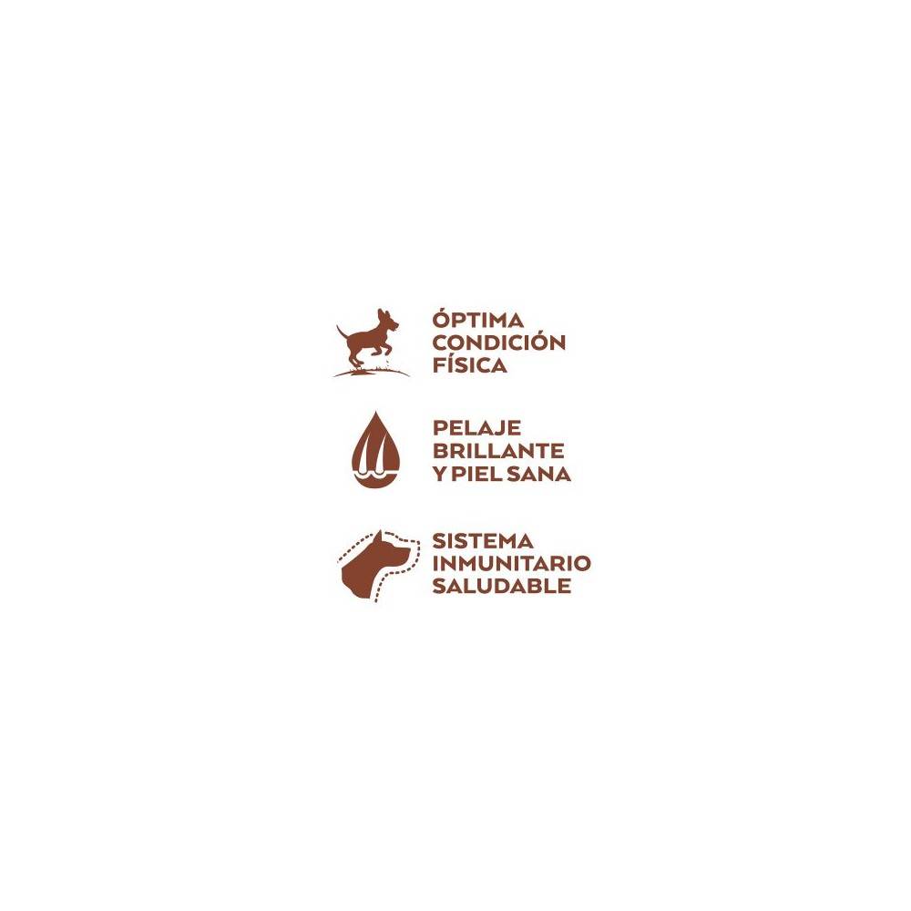 Nature's Variety Original No Grain Medium/Maxi Salmón para perros | Calvet Animales