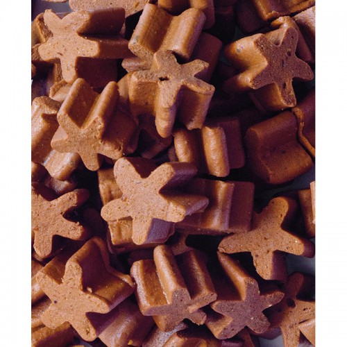 Premis Estrelles Sense Gluten Salmó 100 Gr per gossos | Calvet Animals i Plantes 2