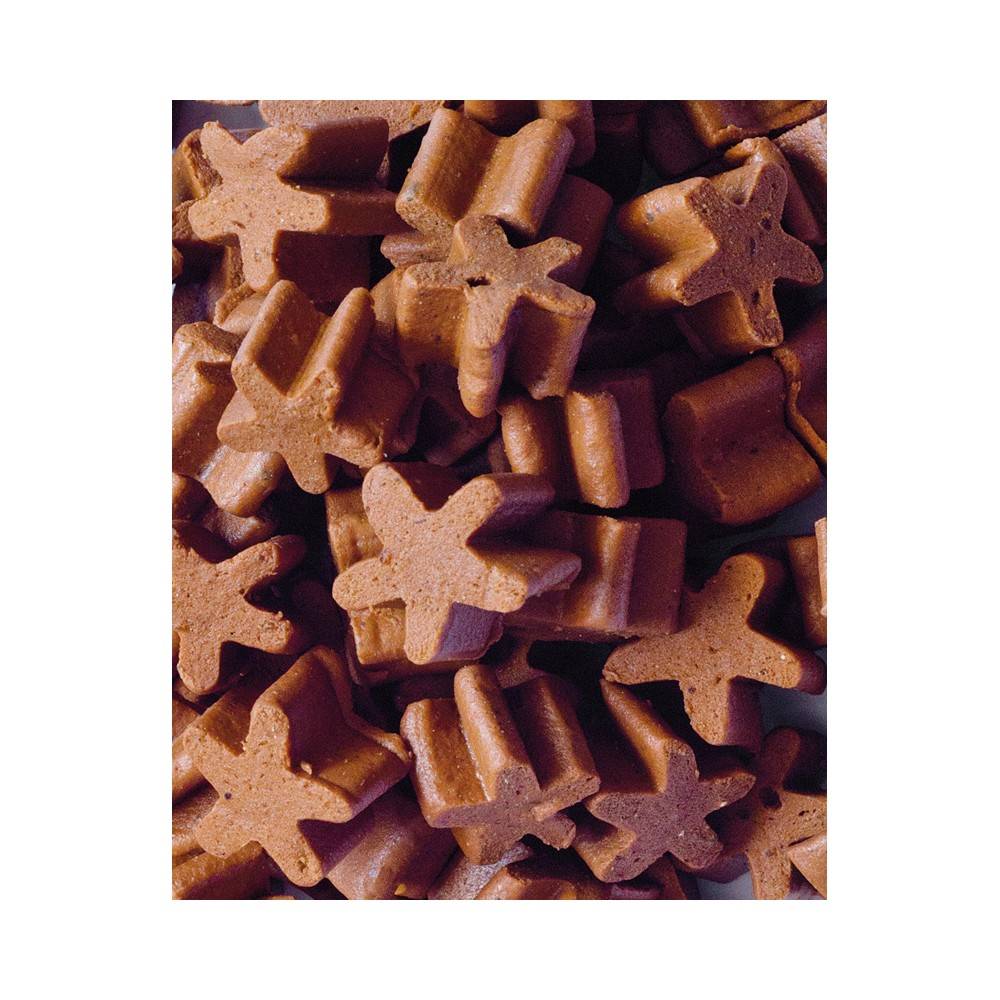 Premis Estrelles Sense Gluten Salmó 100 Gr per gossos | Calvet Animals i Plantes