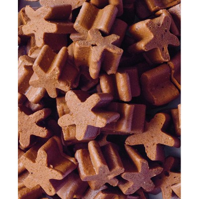 Premis Estrelles Sense Gluten Salmó 100 Gr per gossos | Calvet Animals i Plantes