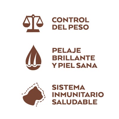 Nature's Variety Gat Original No Grain Sterilized Tonyina 1'25Kg per gats | Calvet