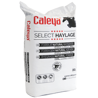 Caleya Select Haylage Natural Raygrass 80L. | Equestrian. Calvet Animals i