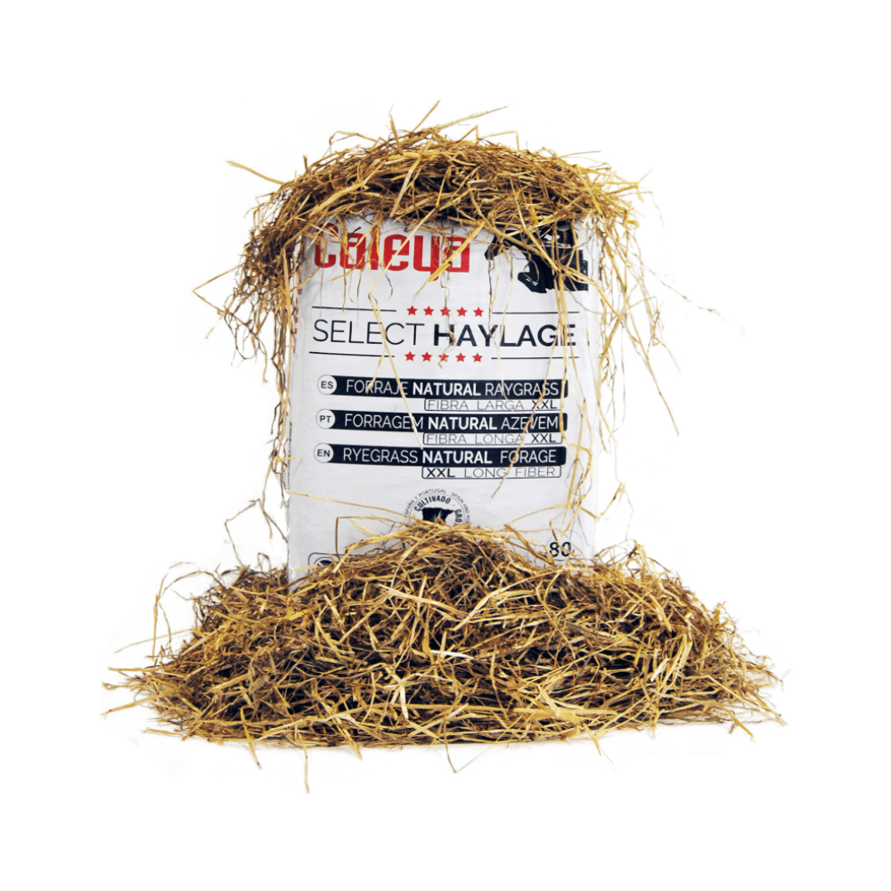 Caleya Select Haylage Natural Raygrass 80L. | Equestrian. Calvet Animals i