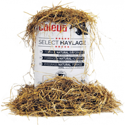 Caleya Select Haylage Natural Raygrass 80L. | Equestrian. Calvet Animals i