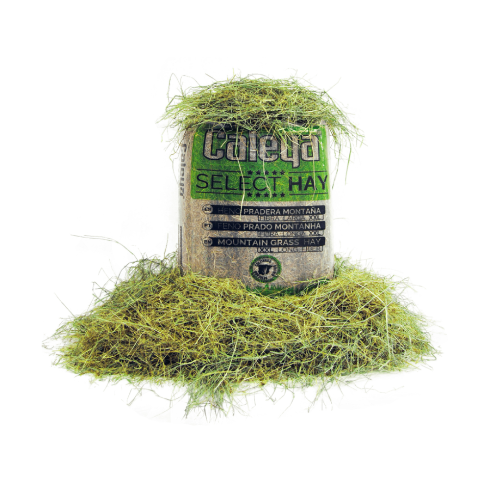 Caleya Select Hay Heno Prado De Montaña 80L. | Equestrian. Calvet Animals