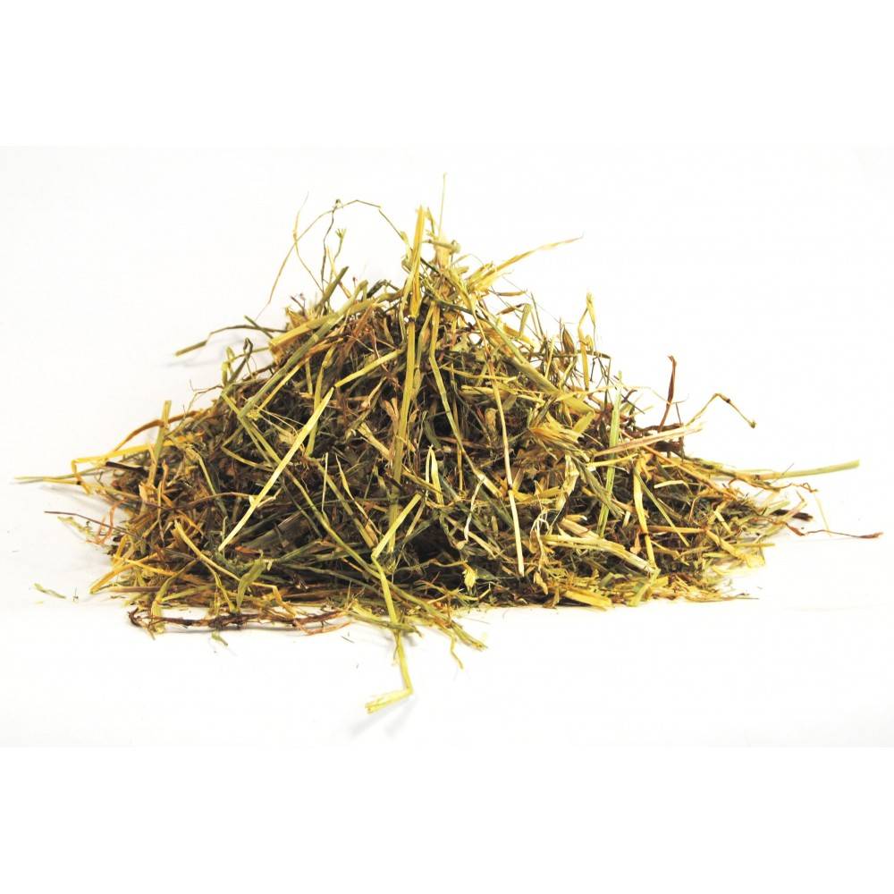 Caleya Select Hay Raygrass Inglés 80L. | Equestrian. Calvet Animals i