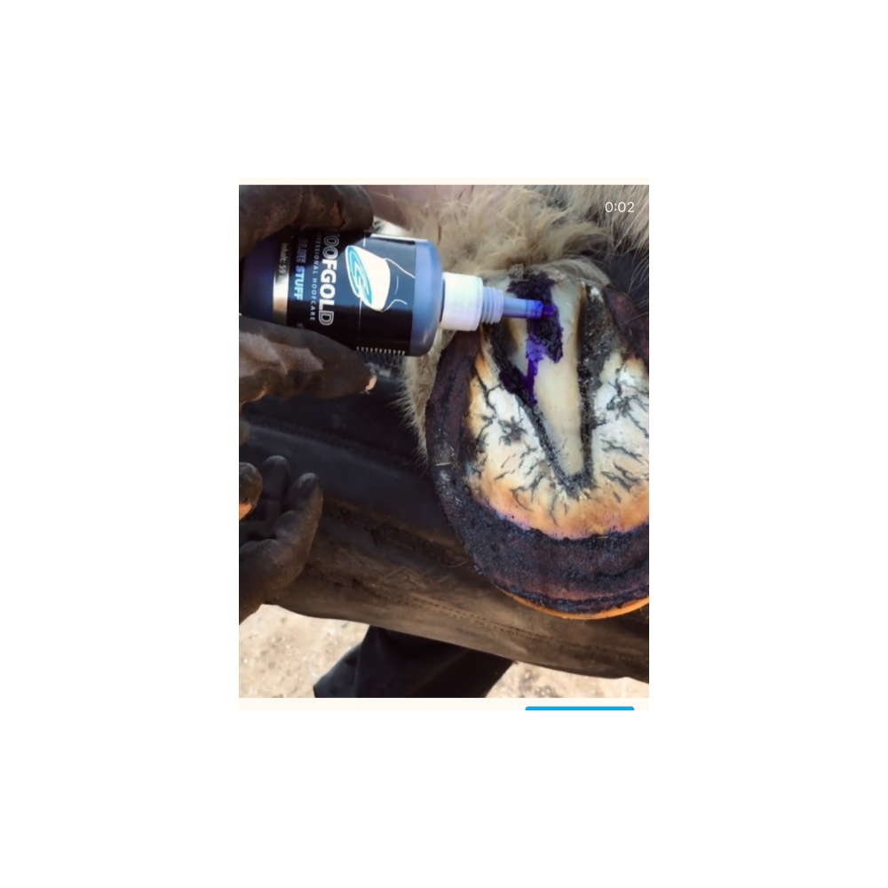 HoofGold Blue Stuff 100ml |Cavall i Genet a Equestrian, Calvet Animal i