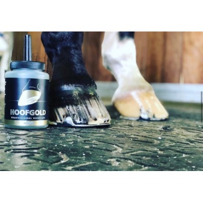 Oli Cascos HoofGold Huföl 500 ml |Cavall i Genet a Equestrian, Calvet