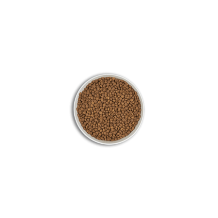 Era Millennium Adult Small Chicken 2 Kg para perros | Calvet Animales y Plantas