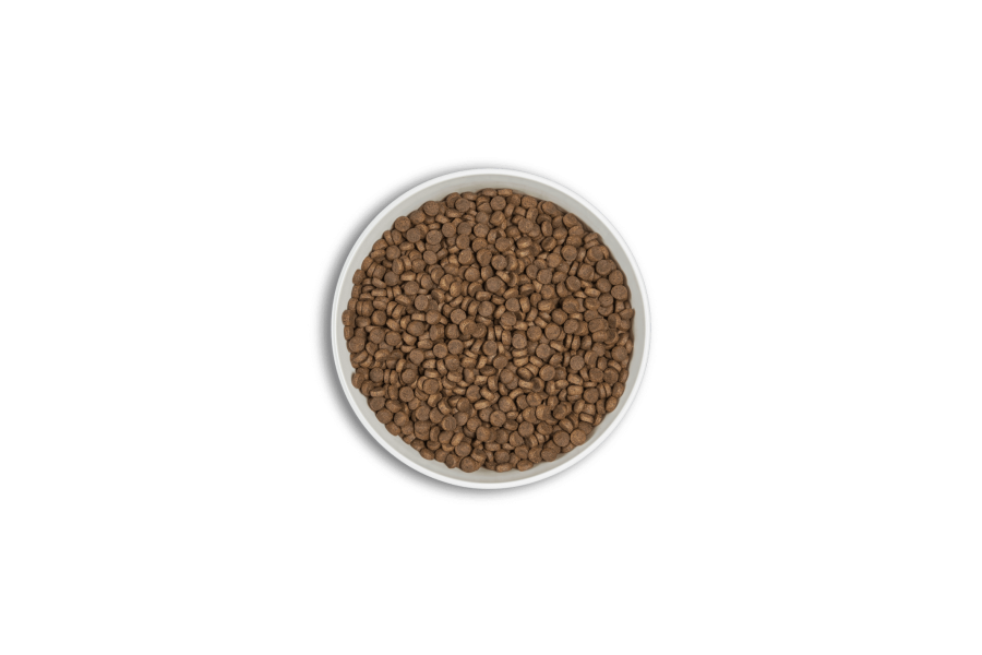 Era Millennium Adult Small Salmon 2 Kg per gossos | Calvet Animals i Plantes