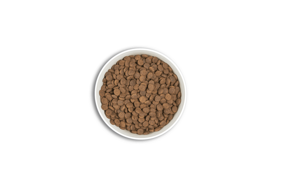 Era Millennium Puppy Large per gossos | Calvet Animals i Plantes