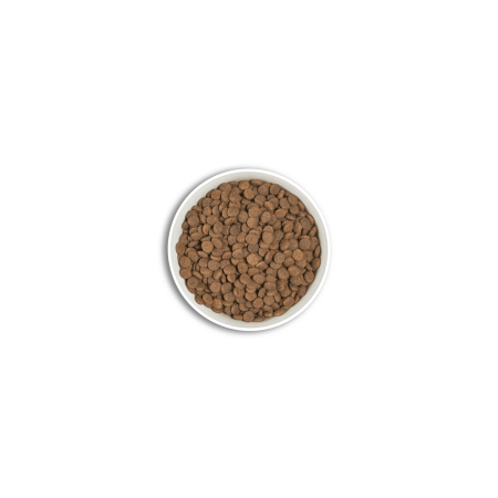 Era Millennium Puppy Large per gossos | Calvet Animals i Plantes