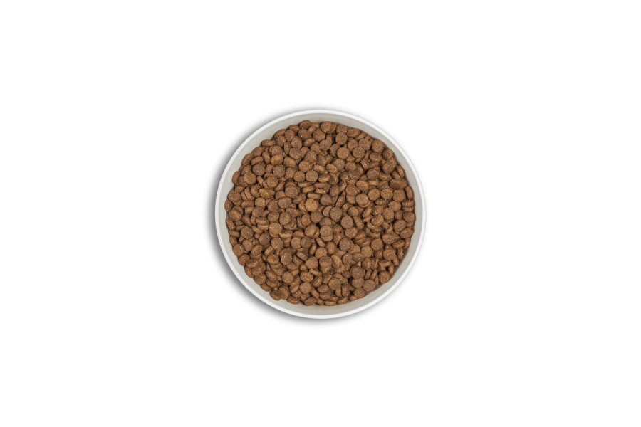 Era Millennium Puppy Medium per gossos | Calvet Animals i Plantes