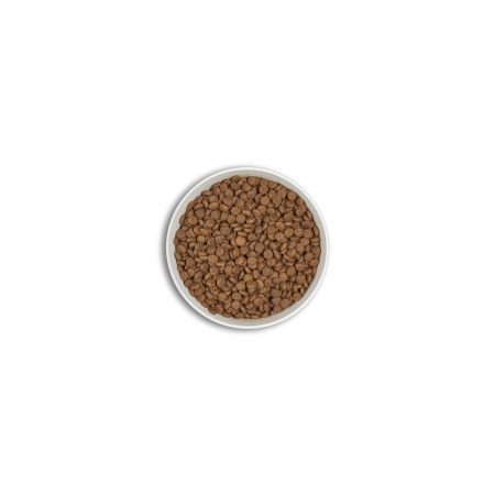 Era Millennium Puppy Medium per gossos | Calvet Animals i Plantes