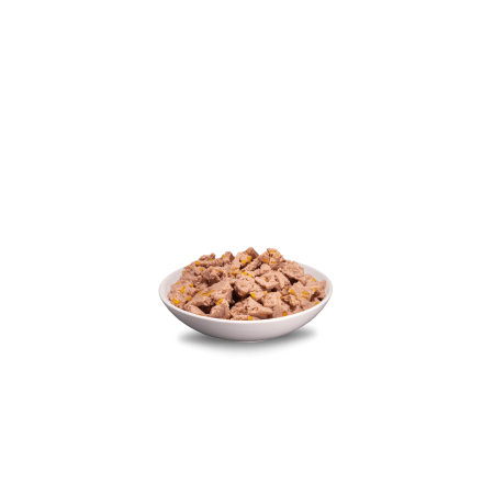 Era Sybarite Puppy Turkey With Sweet Potatoes 400 Gr per gossos | Calvet Animals i