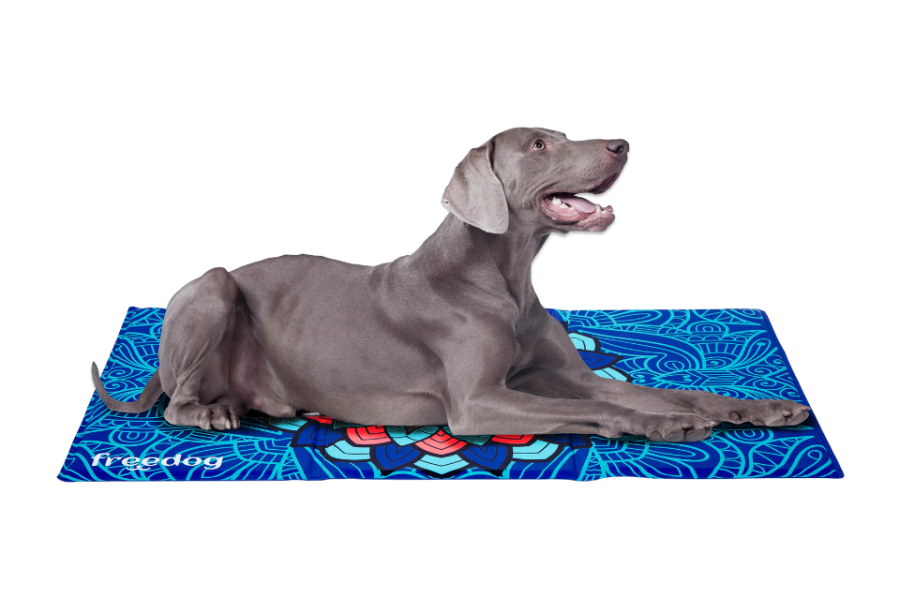 Alfombra Refrescant Freedog Mandala per gossos | Calvet Animals i Plantes