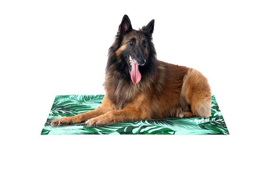 Alfombra Refrescant Freedog Sabana per gossos | Calvet Animals i Plantes